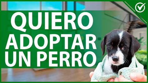 ¡Quiero adoptar!